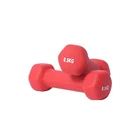 Equipment Hot Selling Wholesale Home Fitness Equipment Men Women Dip Plastic Dumbbells