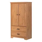 Modern Bedroom Wardrobe With 2 Doors And 2 Drawers