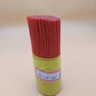 Filaments High Aggresive Abrasive Filaments
