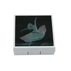 Case Cases Star Style Pretty Girl OEM Contact Lens Case Dual Boxes Sexy Lady Contact Lens Cases With Mirror