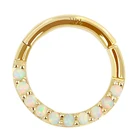 Hoop 14K Gold 16G Synthetic Opal Hinged Segment Hoop Ring Body Jewerly