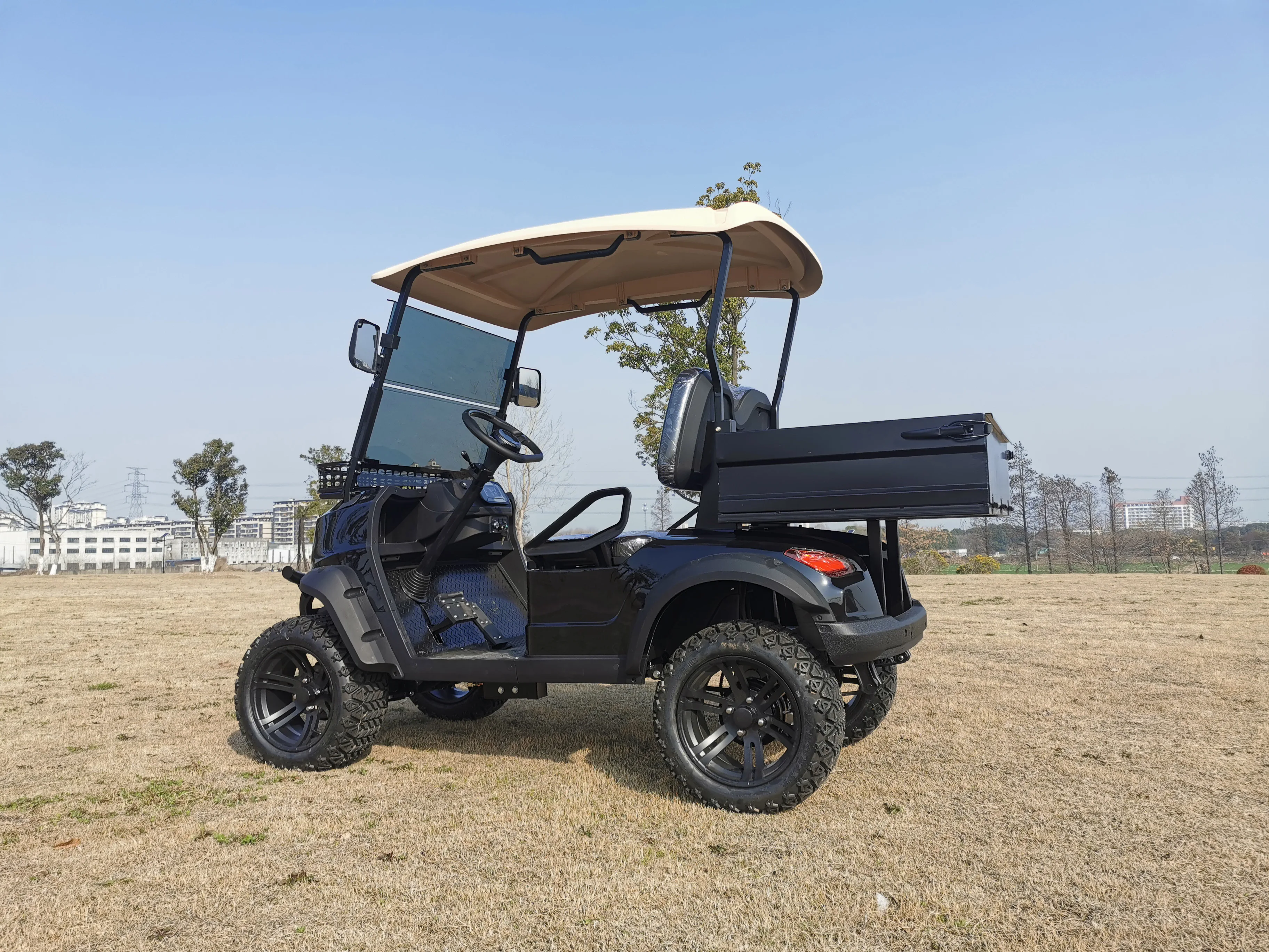 2 Passengers Electric Golf Cart With Cargo Box Lifted Buy Golf Cargo