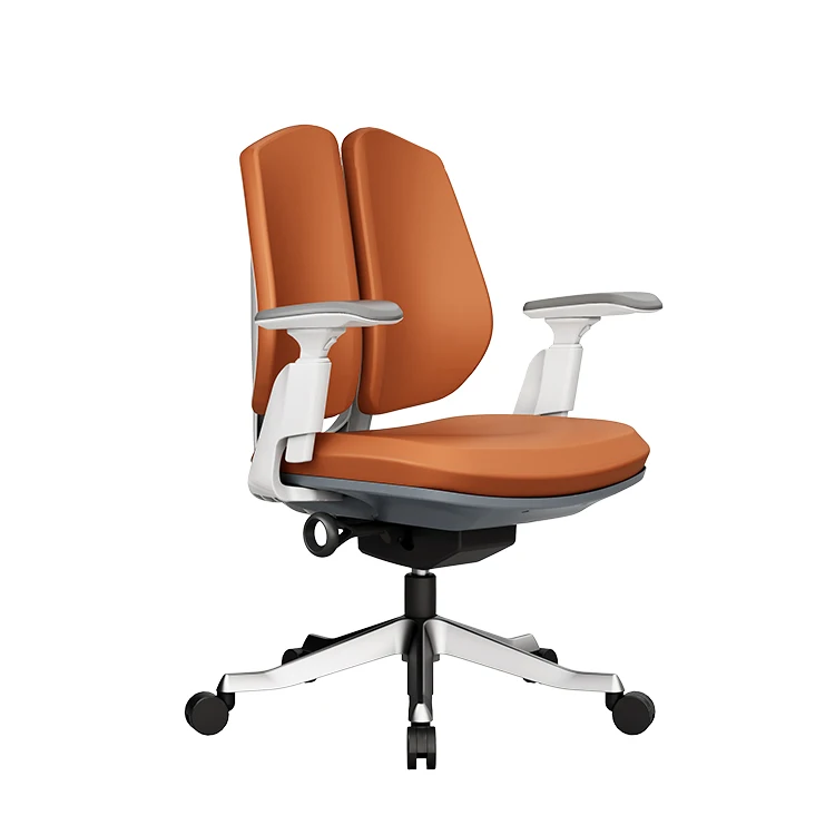 dual back office chair