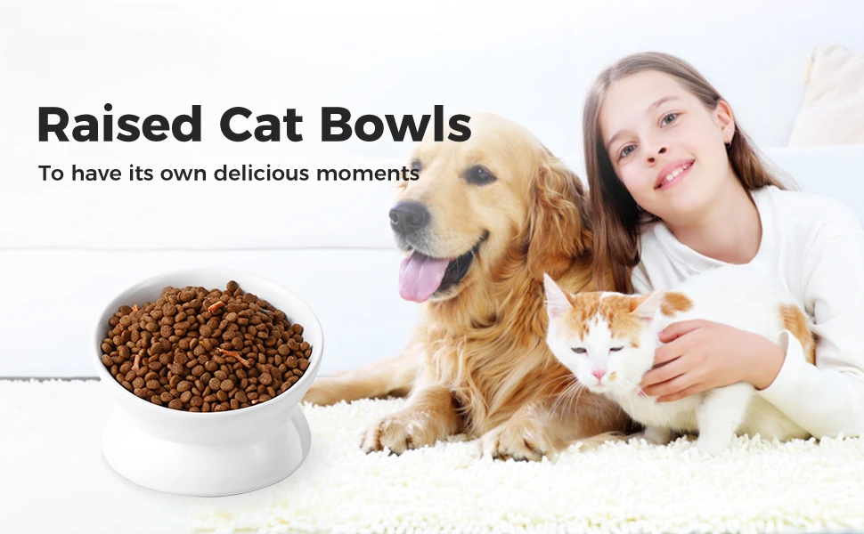 Raised Cat Bowls
