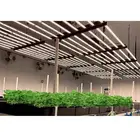Dimmable Gavita Grow Light Horticultural Dimmable Gavita Pro 1700E Grow Light