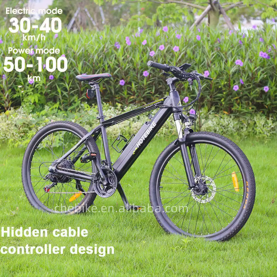 750 watt ebike