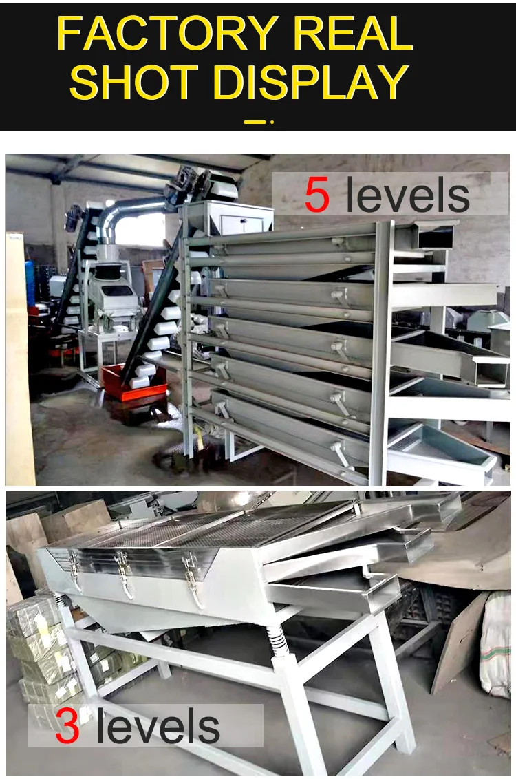 China Manufacturer's New Stainless Steel Automatic Peanut Groundnut Grading Sorting Machine Motor Engine Nuts Corn Soybean details