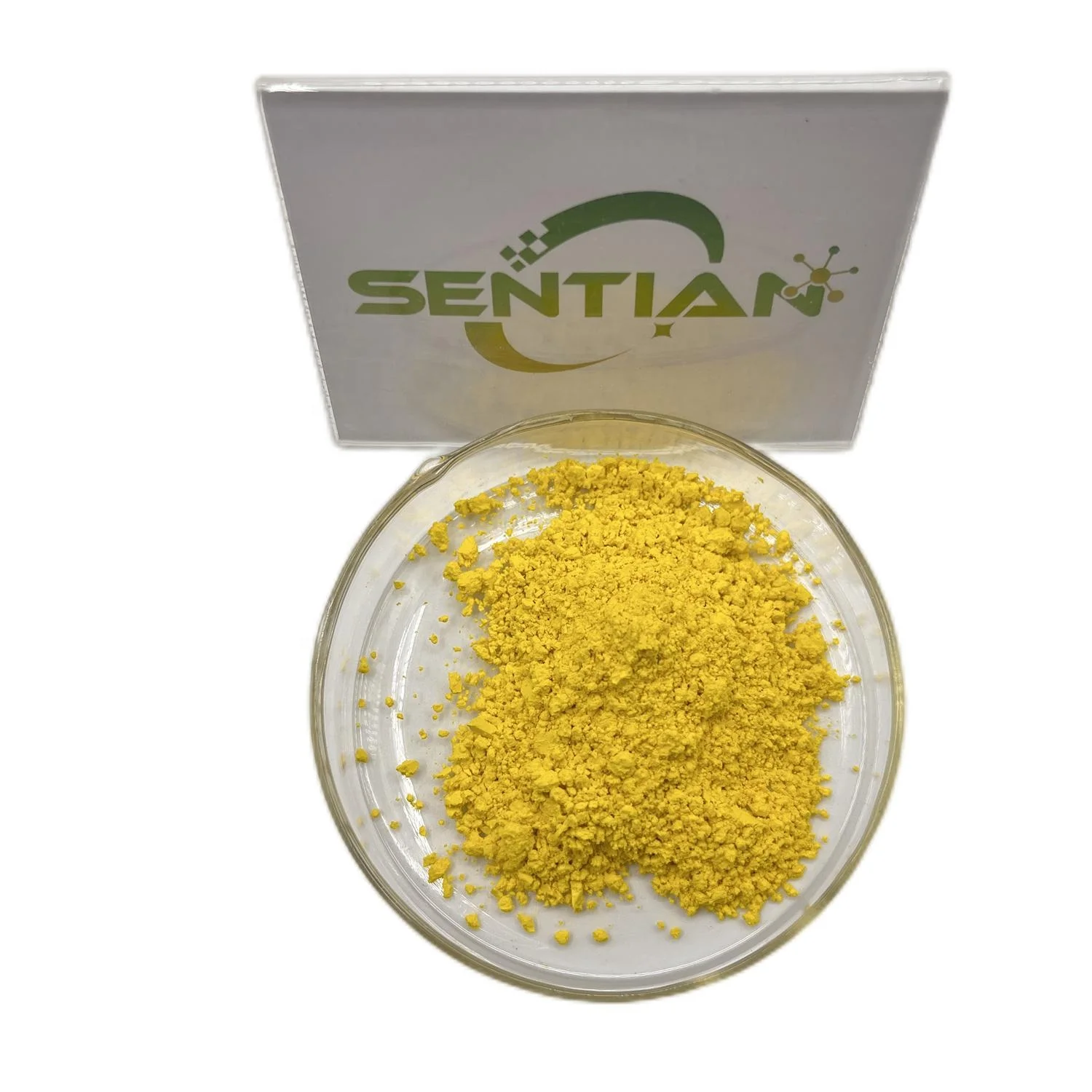 Can Dogs Take B Vitamins