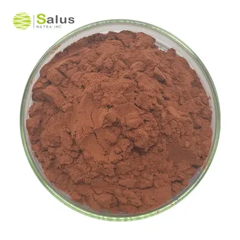 Best Price OPC 95% Grape Seed Extract