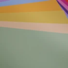 A4 Paper Custom A4 Printing Paper For Multi Color