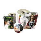 Inkjet Paper Printer 240gsm Digital Inkjet Printing Satin Paper Roll Used Dry Lab Photo Printer