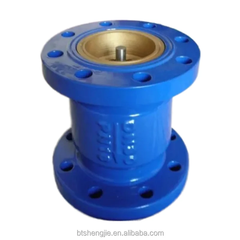 Ductile Iron Flanged Vertical Lift Spring Non Return Silent Check Valve Oem Pn10 16 Buy Silent