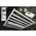 Green Led Lamp Led Grow Light Lamp Risen Green 2020 Hottest Led Plant Lamp Grow Light