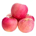 Apple Apples Factory Direct Supply Apple Fresh Fruits Red Organic Apples With High Quality