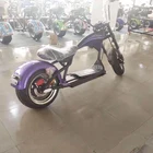 Electric Scooter 20ah Battery Capacity 2000w 2 Wheel Electric Scooter Citycoco