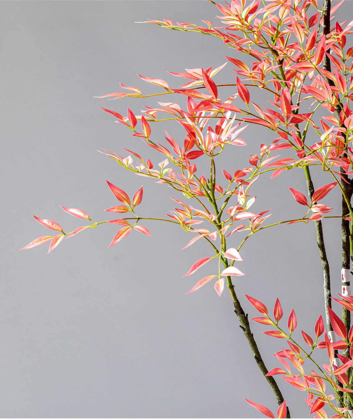 High Quality Handmade Plastic Artificial Bamboo Trees Eco-Friendly Home Decor Hot Sale! Skilled Manufacturers' Artificial Plants supplier