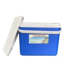 Cool 24L Customizable Refrigerated Meat Marine Cool Summer Cooler Box