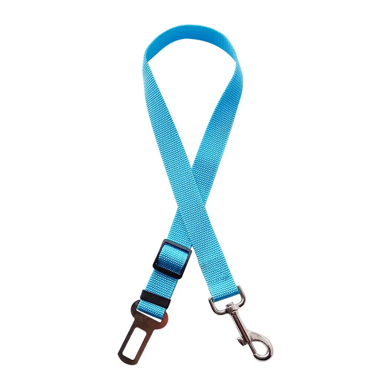 dog leash PCL0229.jpg