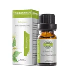 Oil For Massage Good Price Of China ManufacturerBlend Essential Oil For Relaxing Oil Massage