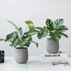 Bonsai Modern Simple Indoor Plants Bonsai Simulation Green Bonsai Artificial Plants