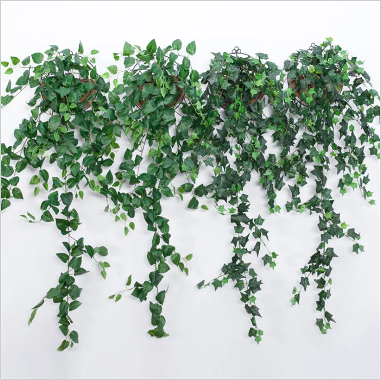 Details about   Upgraded Photinia Ivy Leaf Expandable/Stretchable PVC Leaves and Vine Decoration 