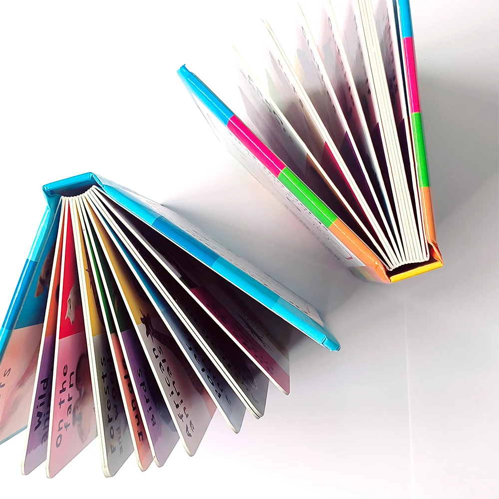 Customized Printing Baby Book First 100 Animals Words Education Hard Cover Board Book supplier