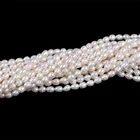 Pearl Loose Rice Pearls Promotion 5-6mm White Rice Pearl Beads Loose Freshwater Natural Pearl Strand