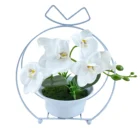 Wedding High Quality Orchid Real Touch Flower Colorful Artificial Plants For Home Wedding Decor Simulation Orchid