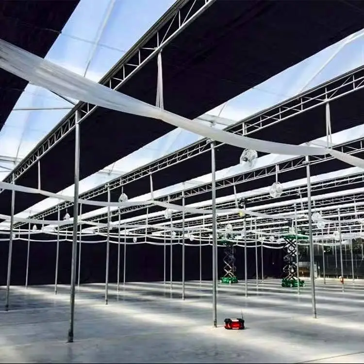 Hfd6dda01bf15439383b749e53bb1cd7bC