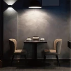 Paint Stucco Paint Wanlei White Premium Stucco Veneziano Venetian Plaster Finish Coating Paint