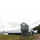 Chicken Chicken Chicken Shed Full Set Broiler Poultry Farming Equipment With Prefab Mod