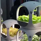 Garden Indoor Garden Hydroponic Planter Indoor Growing Systems Vertical