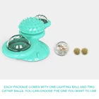 Pet High Quality Abs Windmill Teeth Clean Catnip Luminous Balls Pet Toys And Accessories