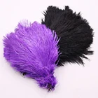 Manufacturars 10-12" 20 - 22 30Inch 60 Cm 80 Cm 12-14 Inch Rainbow Red Blue Ostrich Feathers For Vases