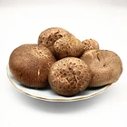 Mushroom Dried Shiitake Mushroom Shiitake Mushroom Cultivation Lentinula Edodes