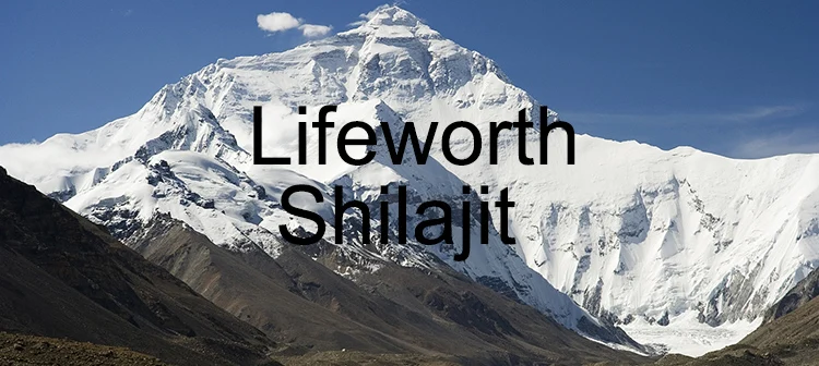 Shilajit.jpg