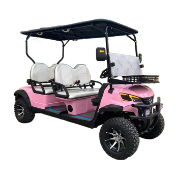 Pink Electric Golf Cart 2 4 6 Seat Electric Utility Vehicle Luxury Off