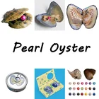 Wholesale Natural Freshwater Real Pearl Oyster Shell Wish Oyster Fresh Cultured Oyster Pearl