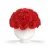 Dome Shape Arrangement Round PORCELAIN VASE Eternal Forever Eternity Rose Preserved Flower