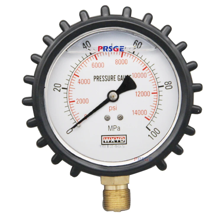 mud <a href='https://www.ruidapetroleum.com/product/49'>pump</a> pressure gauge manufacturers free sample