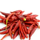 Dry Chili Hot Selling High Quality Natural Dry Red Hot Chili Pepper Factory Wholesale