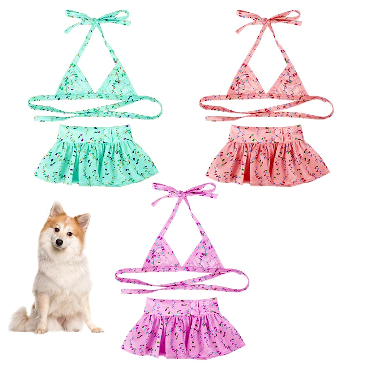 matching dog and owner swimsuits