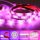 Led Strips Led Led Strip Prices 2 Metres Of Led Lights Strips