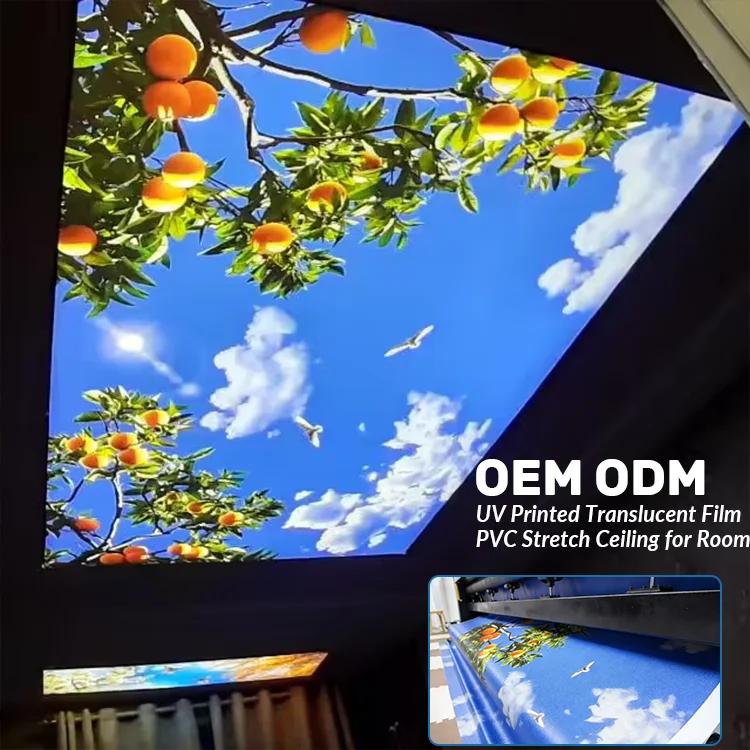 pop false ceiling pvc ceiling panel sky designs stretch ceiling-14