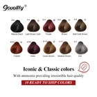 Professional Wholesale Professional OEM Private Label Colorful Natural Organic Permanent Cream Hair Dye