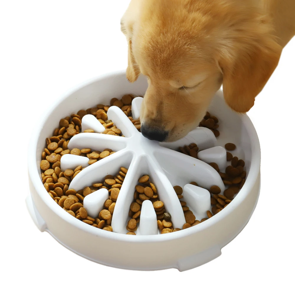 Are Plastic Dog Food Bowls Safe