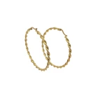 Plated Hoop New Trendy Accessories Jewelry Womens Stainless Steel Gold Plated Large Hoop Earrings