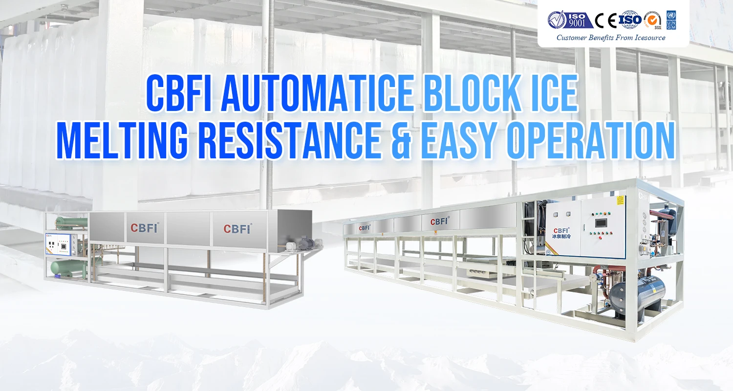 Ice Machines, CBFI, 220, 1300W - detail 2