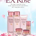 Oil Face Cream Skin 50G Promotional Top Quality Rose Essential Oil Face Cream Organic Skin Care Natural Face Cream