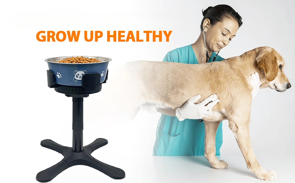 Dog Grow Up Healthy